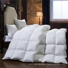Promotion Plain White Down Comforter (WSQ-2016018)